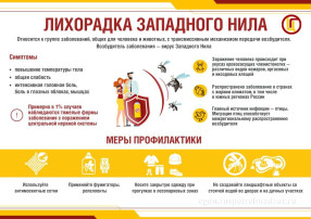 Внимание! Внимание!.